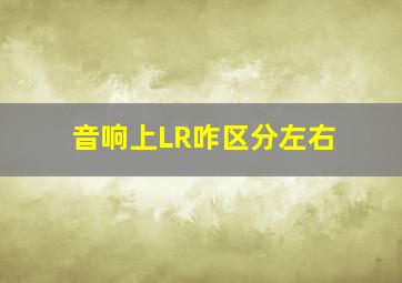 音响上LR咋区分左右