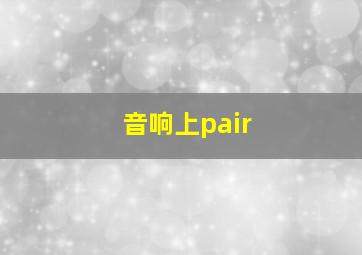 音响上pair