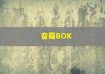 音箱BOK