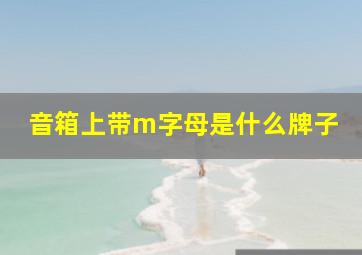 音箱上带m字母是什么牌子