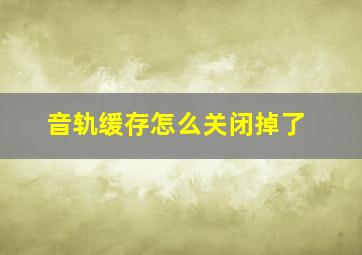 音轨缓存怎么关闭掉了