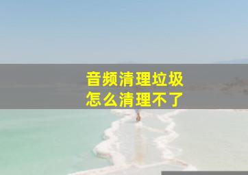 音频清理垃圾怎么清理不了