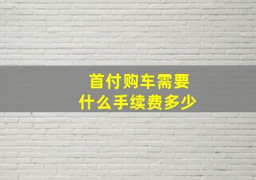 首付购车需要什么手续费多少