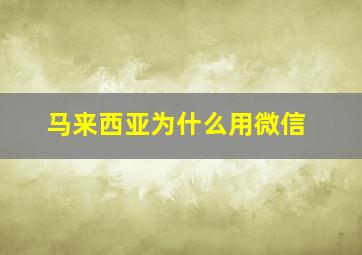 马来西亚为什么用微信