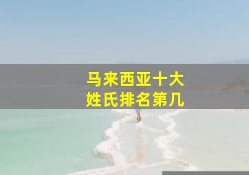 马来西亚十大姓氏排名第几