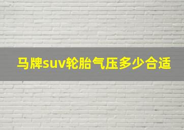 马牌suv轮胎气压多少合适