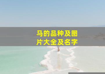 马的品种及图片大全及名字