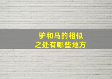 驴和马的相似之处有哪些地方