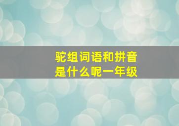 驼组词语和拼音是什么呢一年级