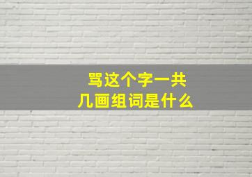 骂这个字一共几画组词是什么