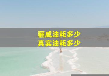 骊威油耗多少真实油耗多少