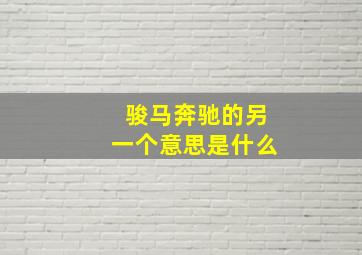 骏马奔驰的另一个意思是什么