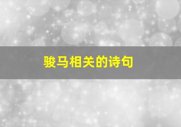 骏马相关的诗句