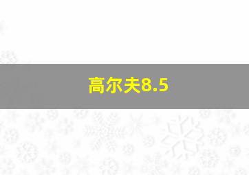 高尔夫8.5