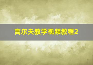 高尔夫教学视频教程2