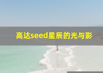 高达seed星辰的光与影