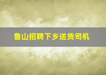 鲁山招聘下乡送货司机