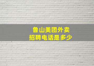 鲁山美团外卖招聘电话是多少