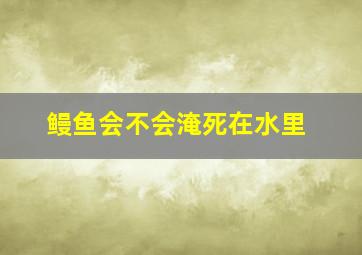 鳗鱼会不会淹死在水里