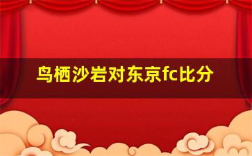 鸟栖沙岩对东京fc比分