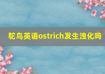 鸵鸟英语ostrich发生浊化吗