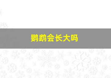 鹦鹉会长大吗