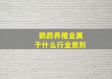 鹦鹉养殖业属于什么行业类别