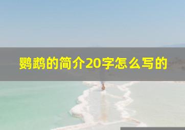 鹦鹉的简介20字怎么写的