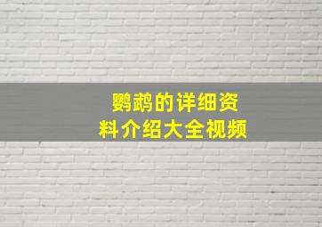 鹦鹉的详细资料介绍大全视频