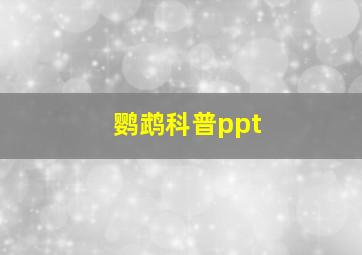 鹦鹉科普ppt