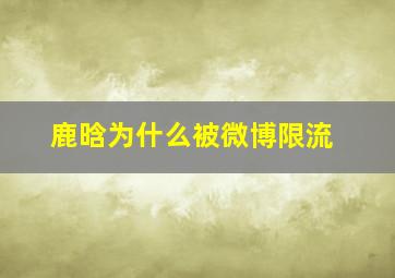 鹿晗为什么被微博限流