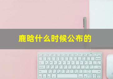 鹿晗什么时候公布的