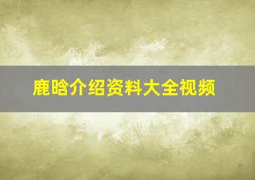 鹿晗介绍资料大全视频