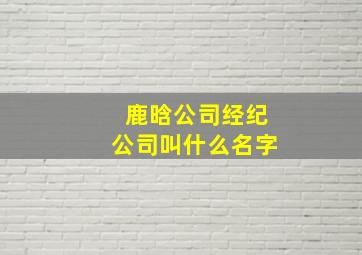 鹿晗公司经纪公司叫什么名字