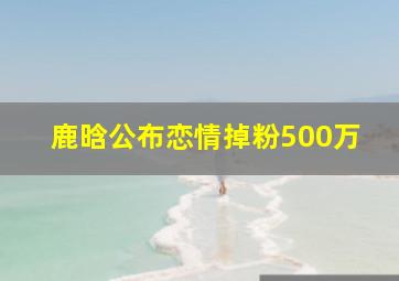 鹿晗公布恋情掉粉500万