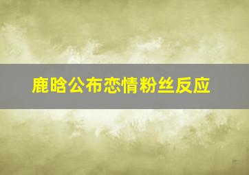 鹿晗公布恋情粉丝反应