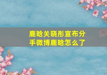 鹿晗关晓彤宣布分手微博鹿晗怎么了