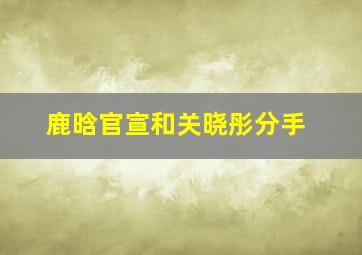 鹿晗官宣和关晓彤分手