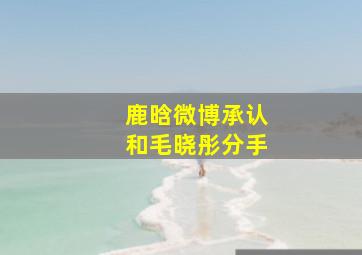 鹿晗微博承认和毛晓彤分手