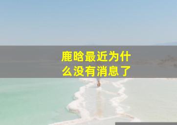 鹿晗最近为什么没有消息了