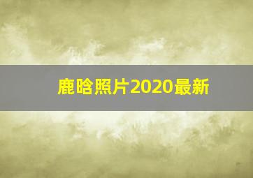 鹿晗照片2020最新