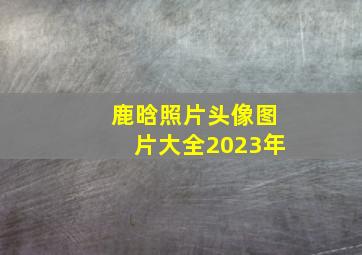 鹿晗照片头像图片大全2023年