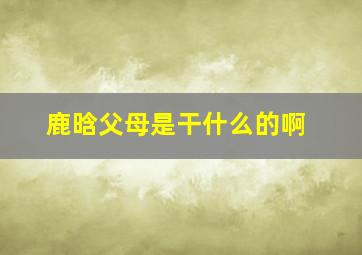 鹿晗父母是干什么的啊