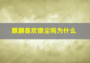 麒麟喜欢银尘吗为什么