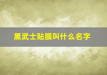 黑武士贴膜叫什么名字