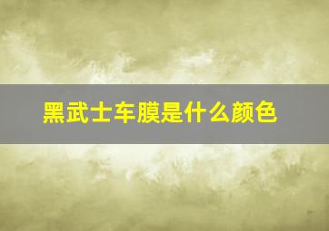 黑武士车膜是什么颜色