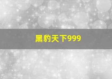 黑豹天下999