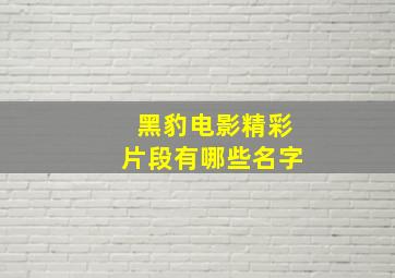 黑豹电影精彩片段有哪些名字