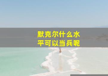 默克尔什么水平可以当兵呢