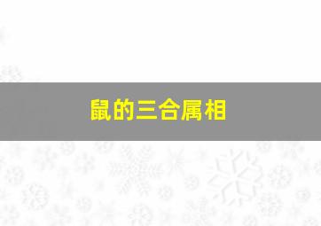 鼠的三合属相